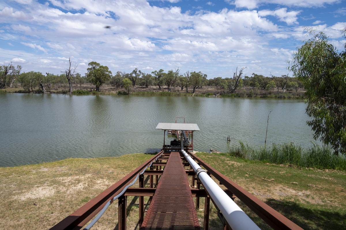 Lot 60 Hartwig Road, Taylorville For Sale by Farmbuy.com - image 12