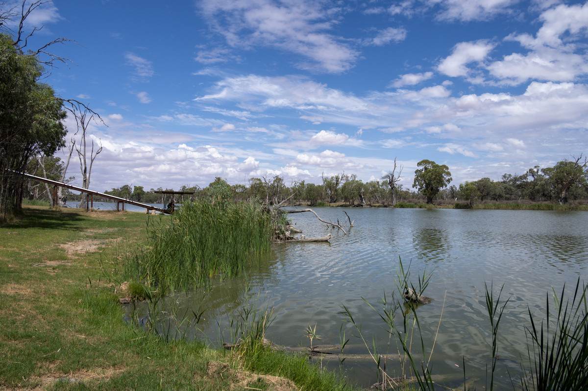 Lot 60 Hartwig Road, Taylorville For Sale by Farmbuy.com - image 2