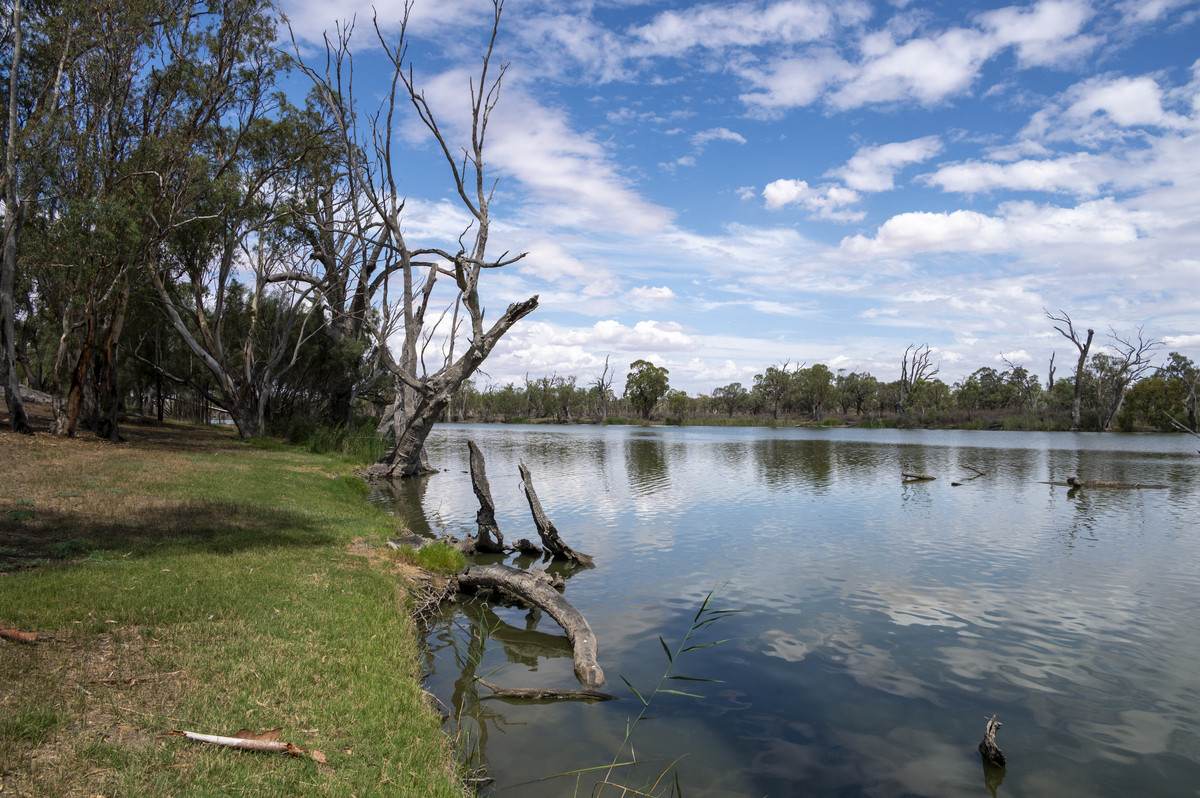 Lot 60 Hartwig Road, Taylorville For Sale by Farmbuy.com - image 19