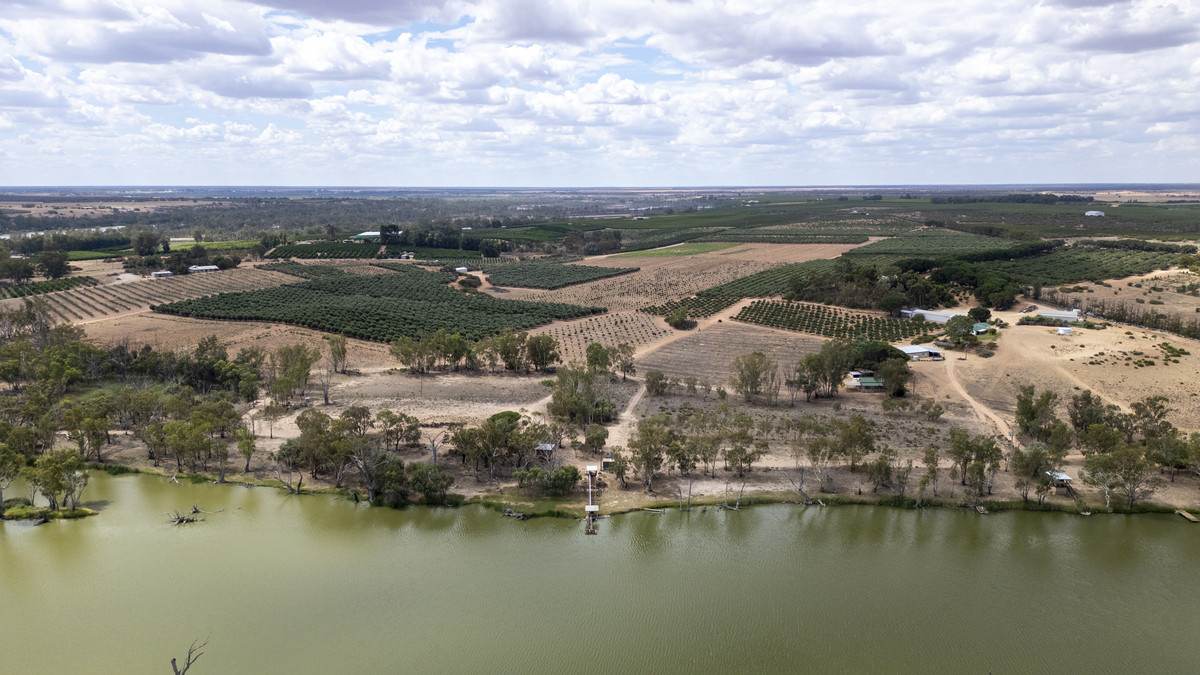 Lot 60 Hartwig Road, Taylorville For Sale by Farmbuy.com - image 10