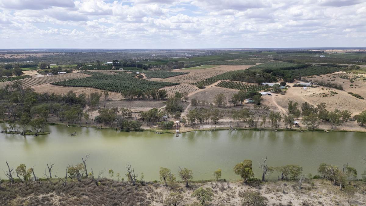 Lot 60 Hartwig Road, Taylorville For Sale by Farmbuy.com - image 14