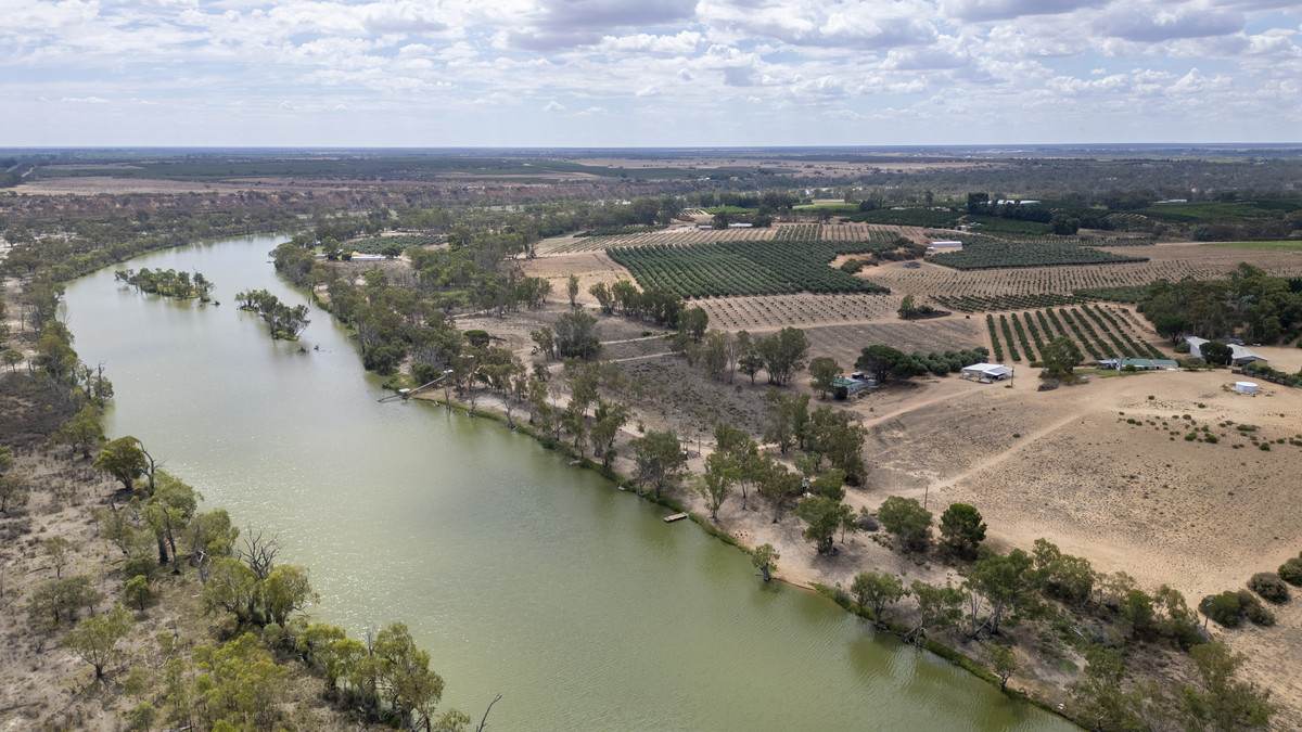 Lot 60 Hartwig Road, Taylorville For Sale by Farmbuy.com - image 15