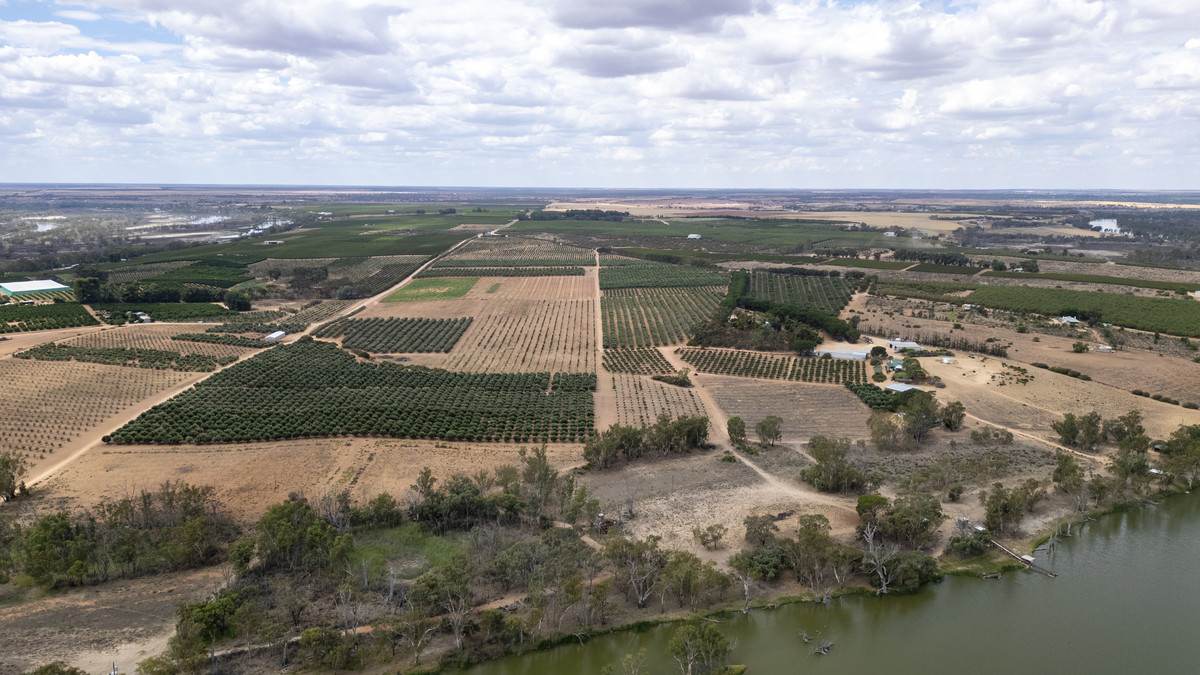 Lot 60 Hartwig Road, Taylorville For Sale by Farmbuy.com - image 25