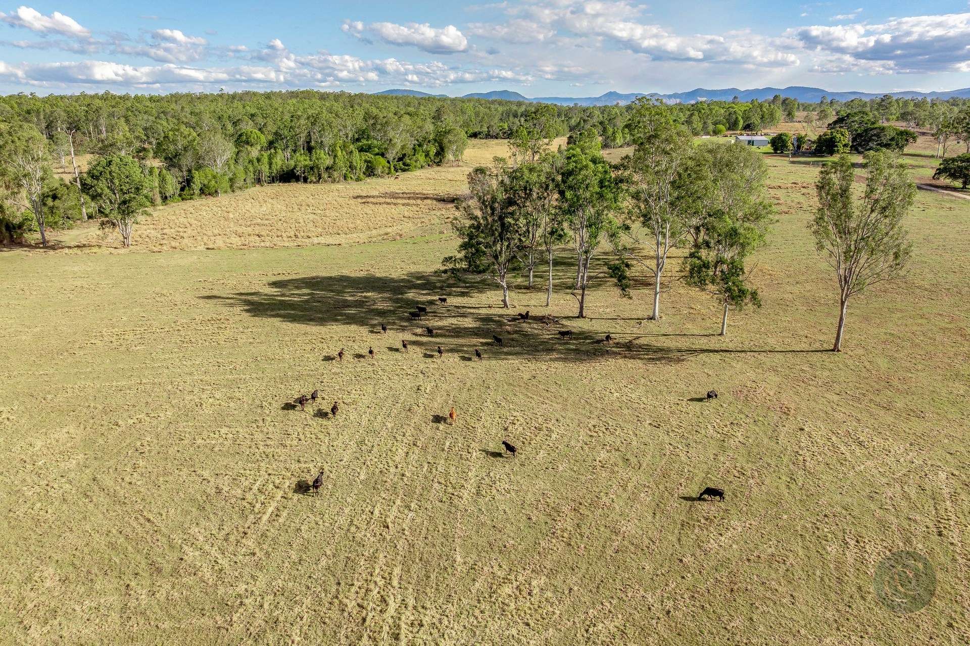 465 Sexton Road, Sexton For Sale by Farmbuy.com - image 26