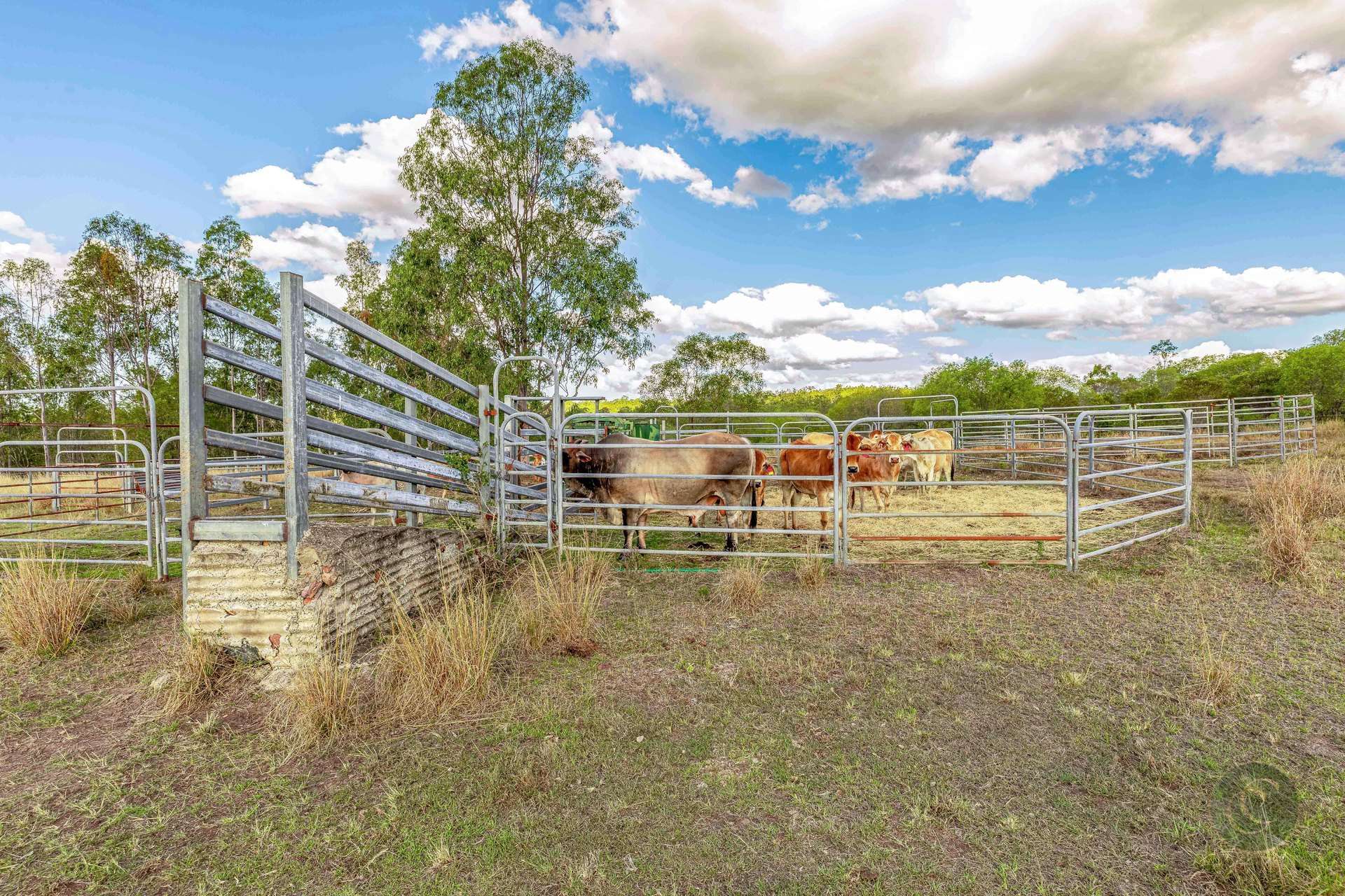 465 Sexton Road, Sexton For Sale by Farmbuy.com - image 10