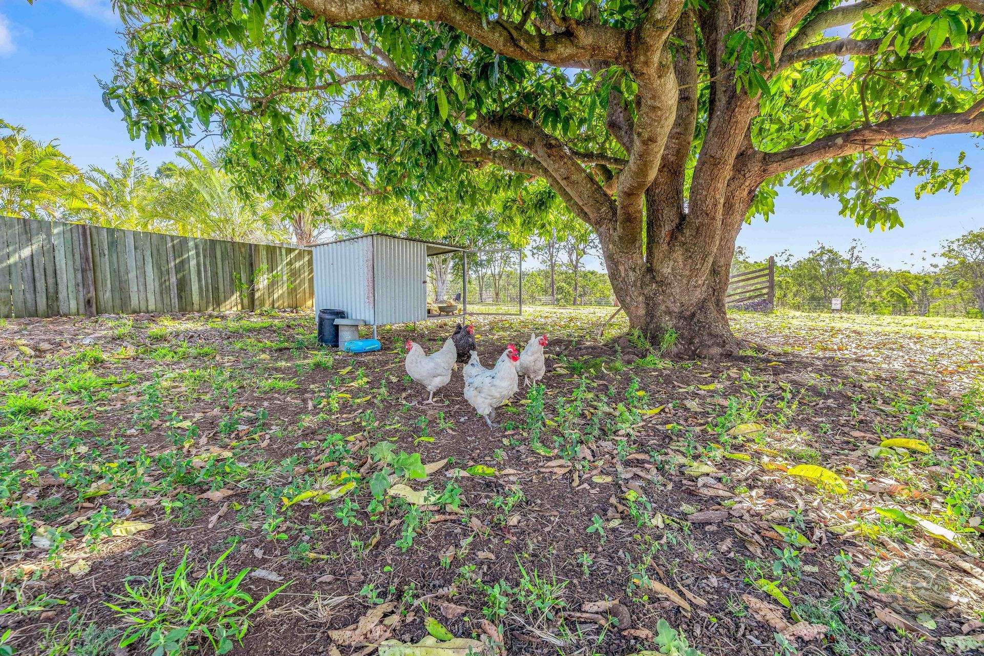 465 Sexton Road, Sexton For Sale by Farmbuy.com - image 29