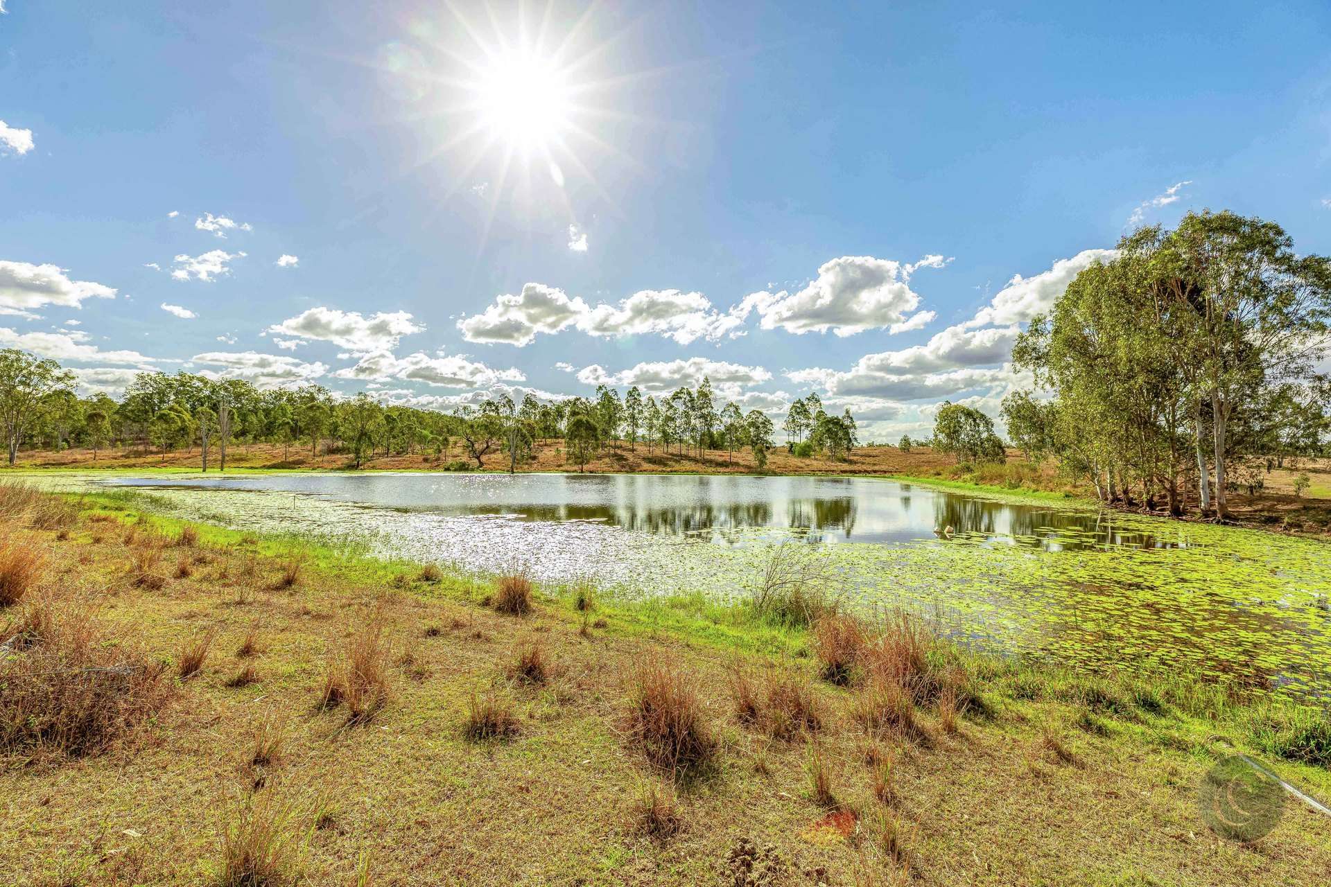 465 Sexton Road, Sexton For Sale by Farmbuy.com - image 23