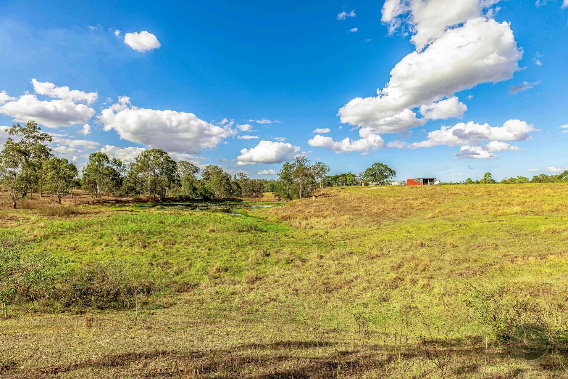 465 Sexton Road, Sexton For Sale by Farmbuy.com - image 25