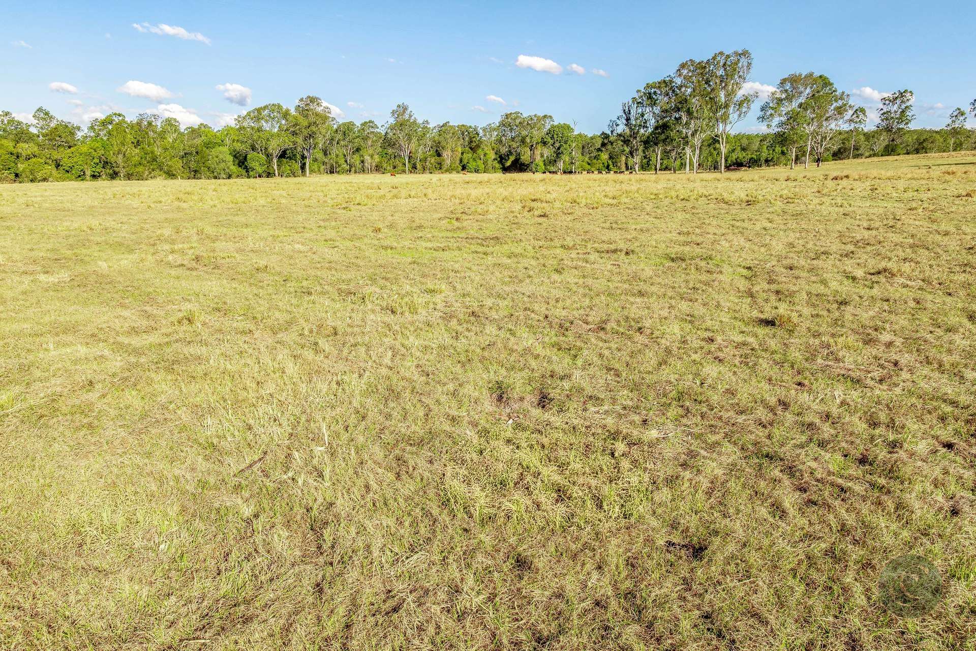 465 Sexton Road, Sexton For Sale by Farmbuy.com - image 27
