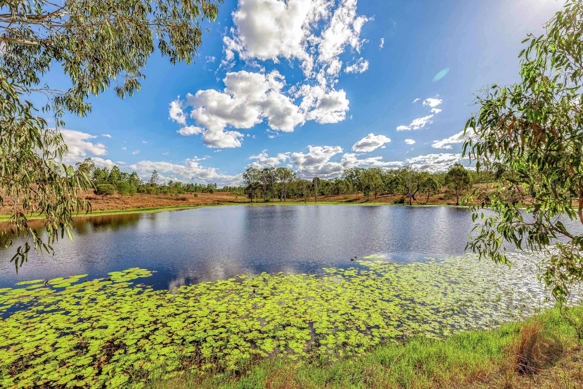 465 Sexton Road, Sexton For Sale by Farmbuy.com - image 22