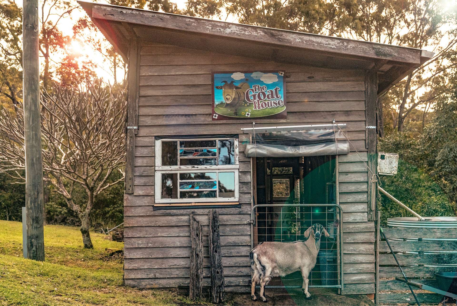 29 Oxenham Lane, Reesville For Sale by Farmbuy.com - image 9