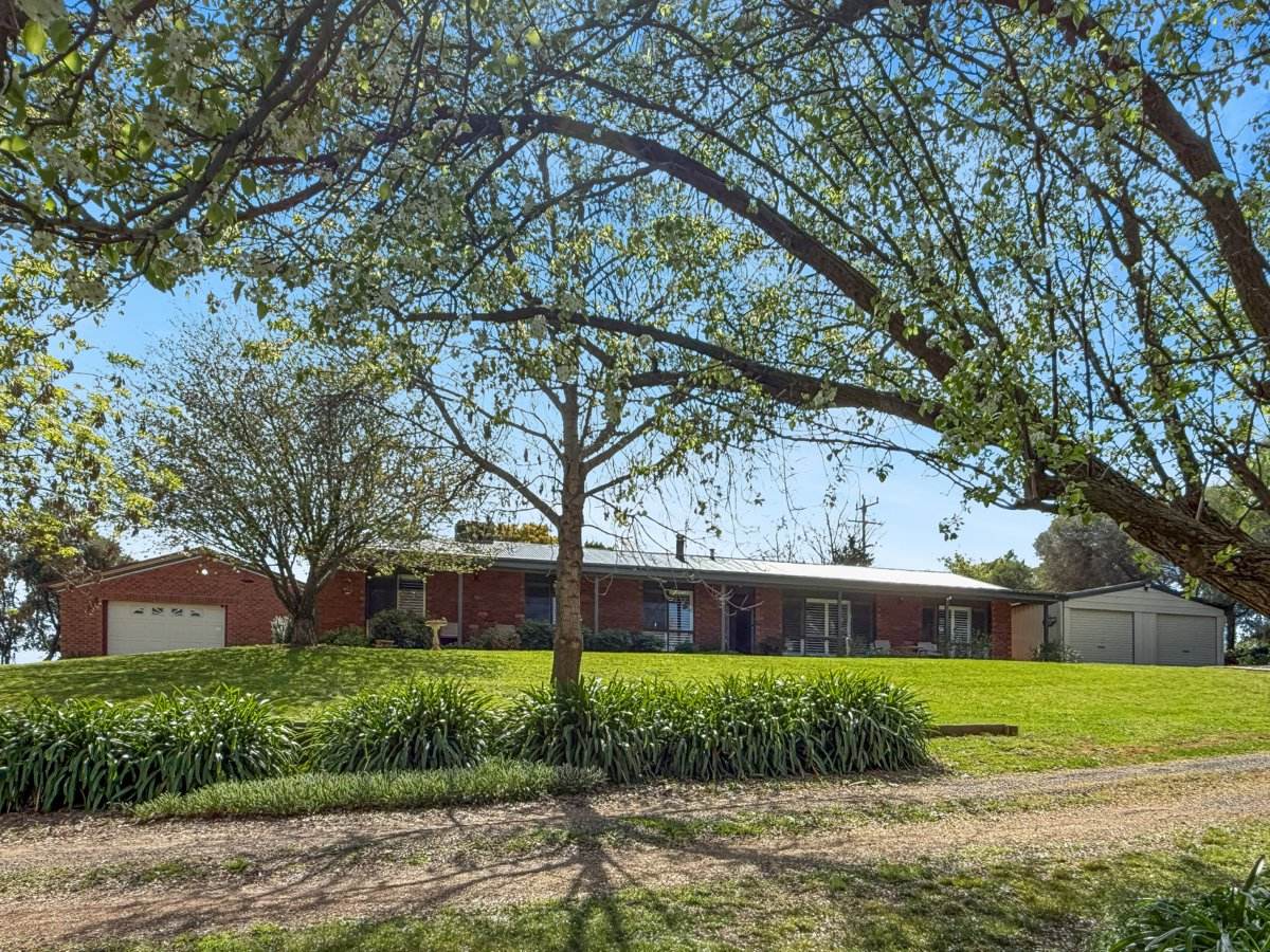 30 Redhill Road, Young For Sale by Farmbuy.com - image 1