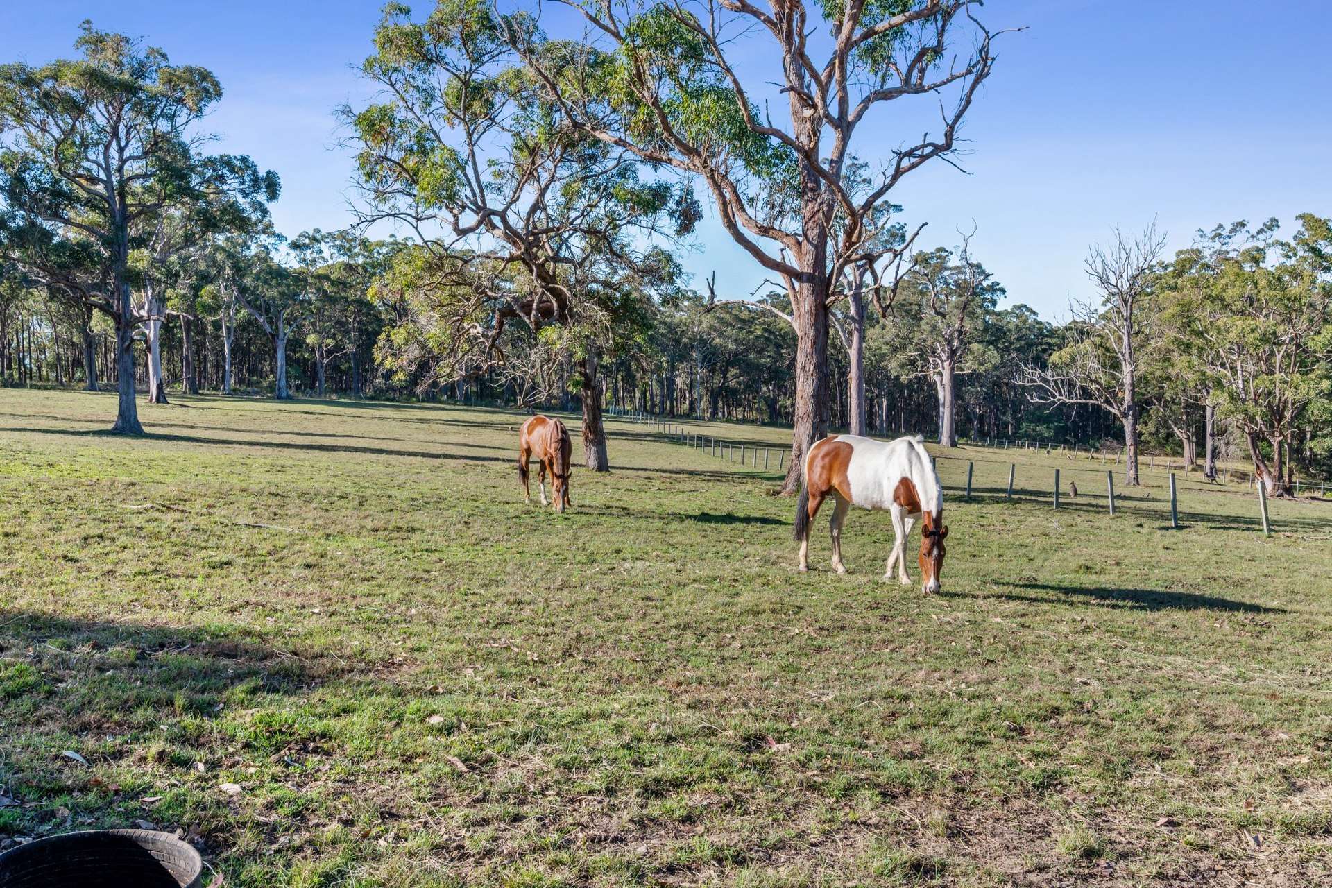 127 Midway Road, Mandalong Auction by Farmbuy.com - image 14