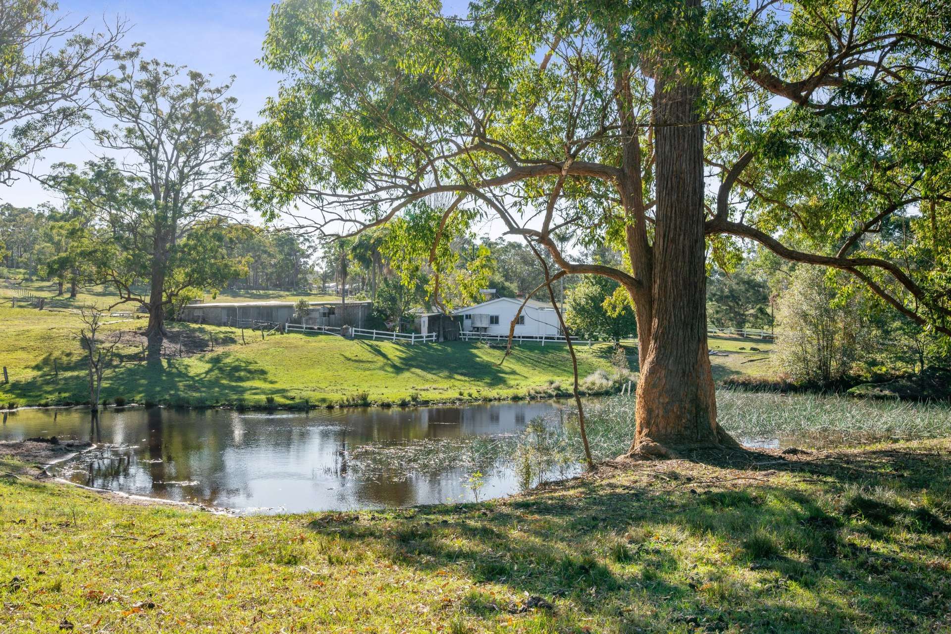 127 Midway Road, Mandalong Auction by Farmbuy.com - image 13