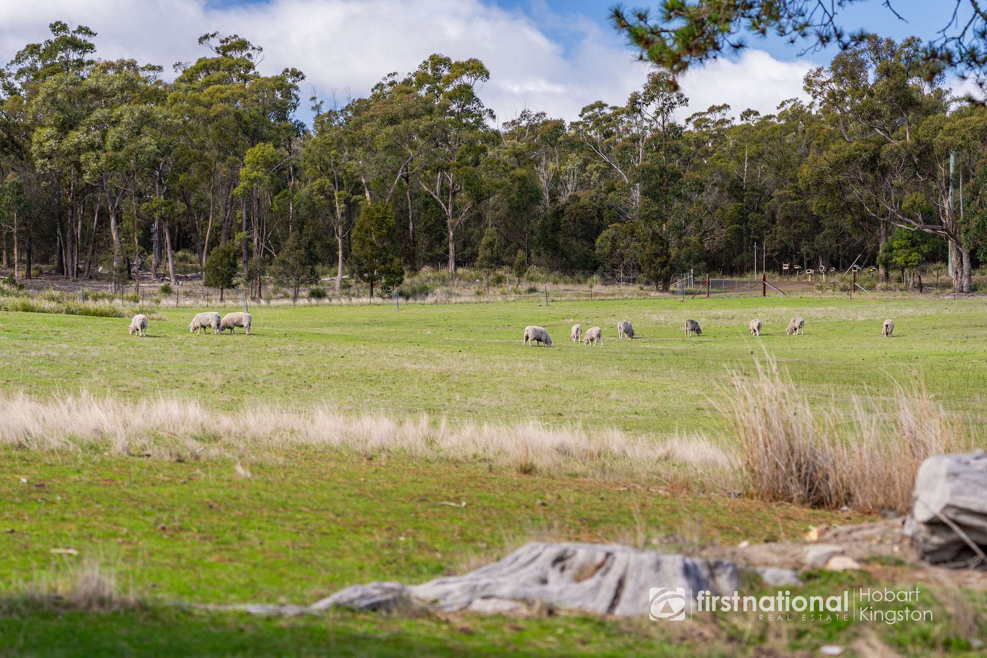 845 Killora Road, North Bruny For Sale by Farmbuy.com - image 33