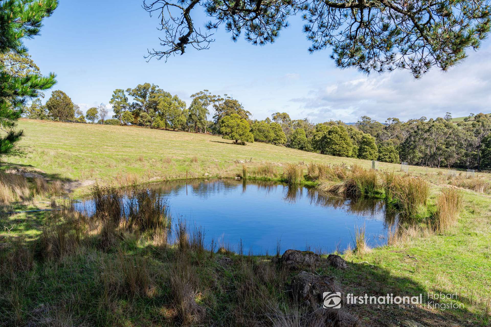 845 Killora Road, North Bruny For Sale by Farmbuy.com - image 32
