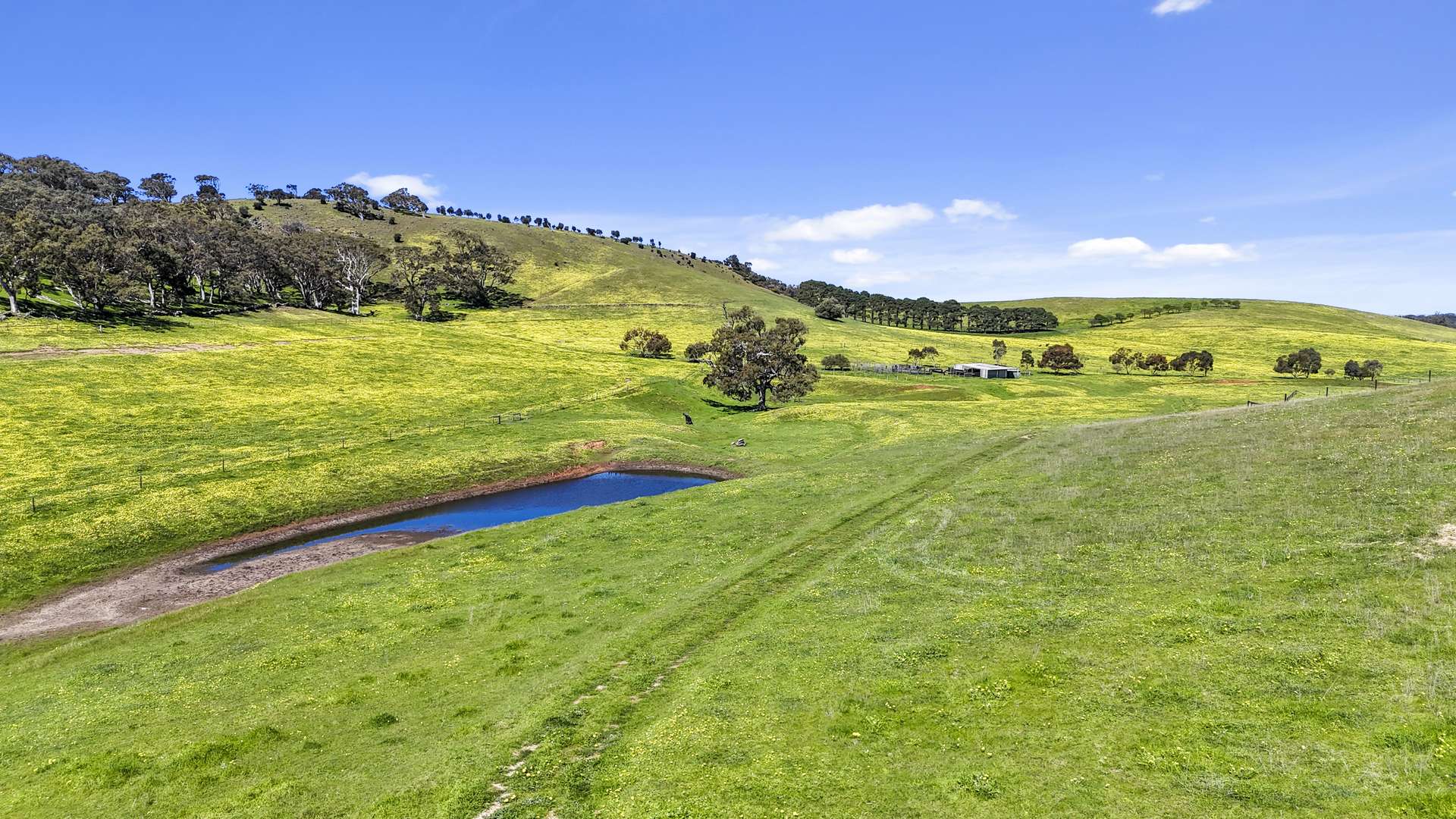 Allotment 702 Wattle Flat Road, Ashbourne For Sale by Farmbuy.com - image 15