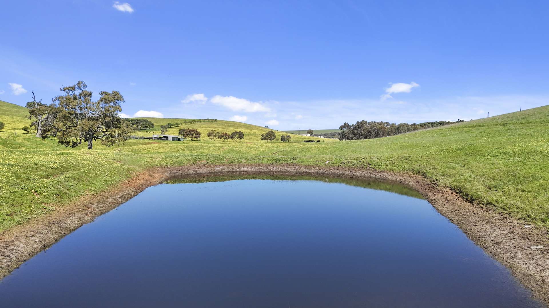 Allotment 702 Wattle Flat Road, Ashbourne For Sale by Farmbuy.com - image 12