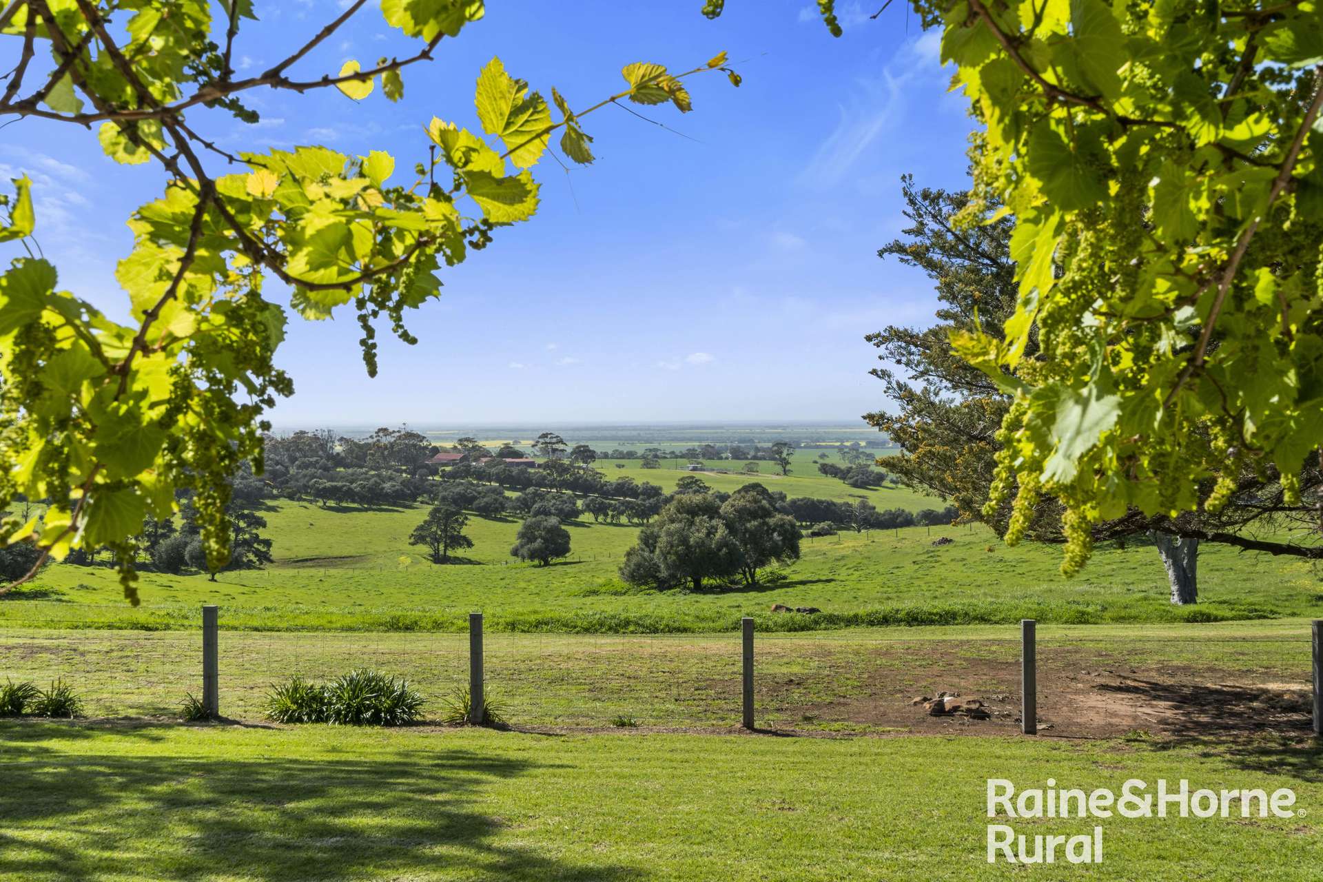 184 Wattle Flat Road, Strathalbyn For Sale by Farmbuy.com - image 19