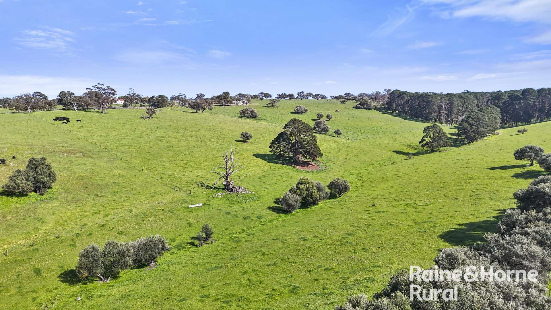 184 Wattle Flat Road, Strathalbyn For Sale by Farmbuy.com - image 25
