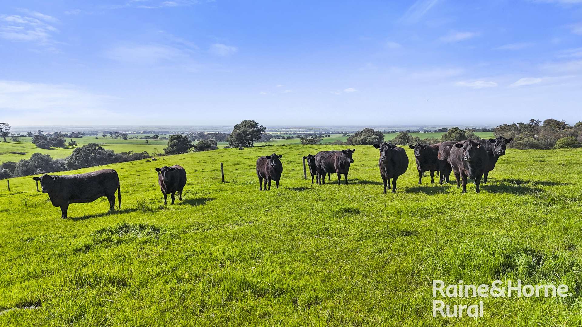 184 Wattle Flat Road, Strathalbyn For Sale by Farmbuy.com - image 31