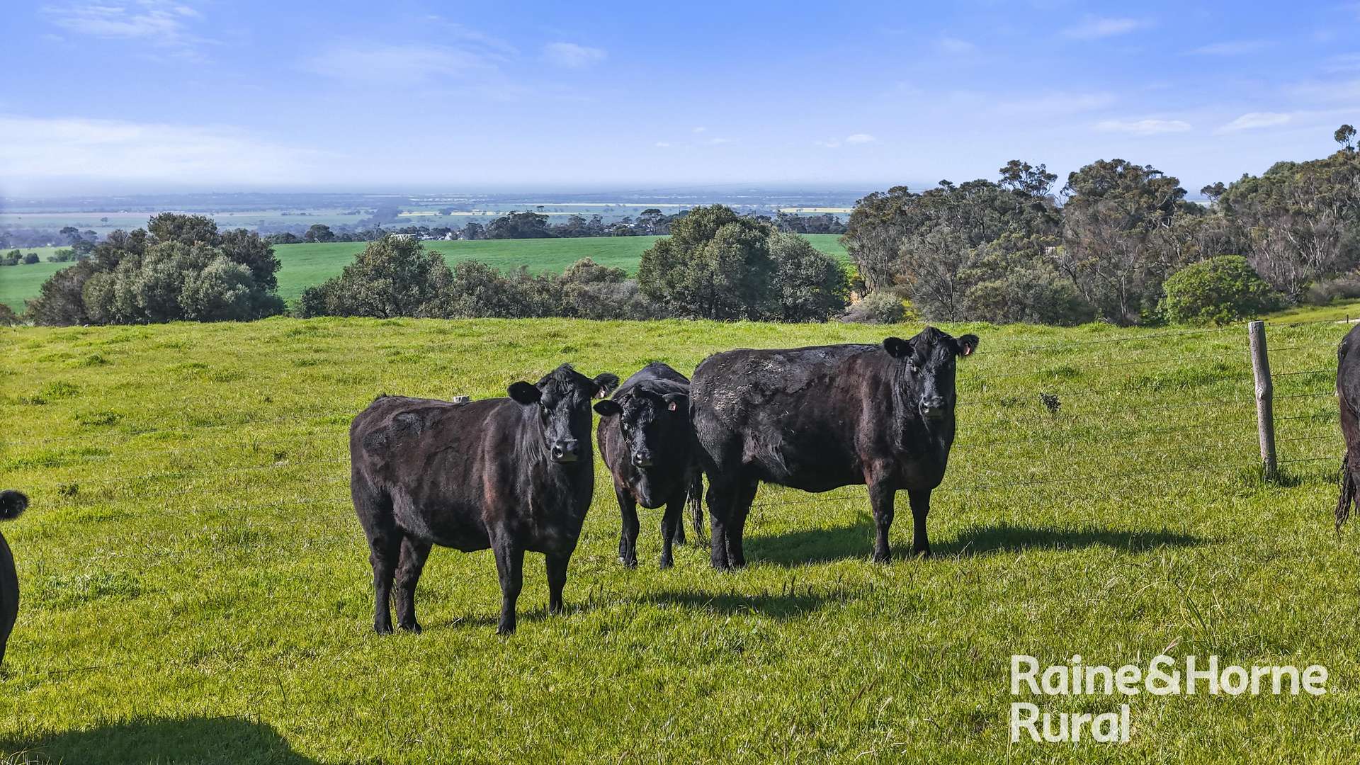 184 Wattle Flat Road, Strathalbyn For Sale by Farmbuy.com - image 27