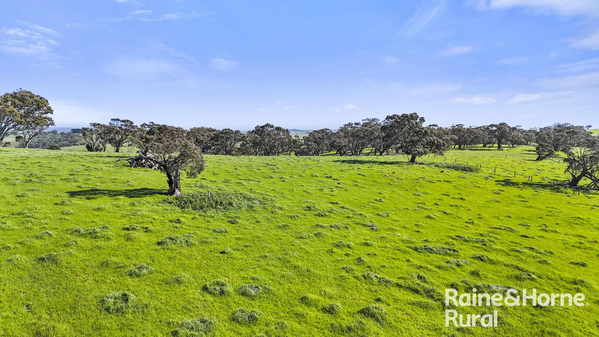 184 Wattle Flat Road, Strathalbyn For Sale by Farmbuy.com - image 33