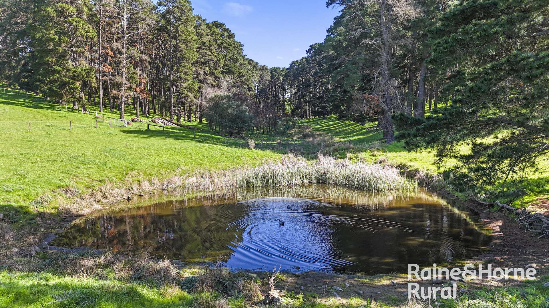 184 Wattle Flat Road, Strathalbyn For Sale by Farmbuy.com - image 28