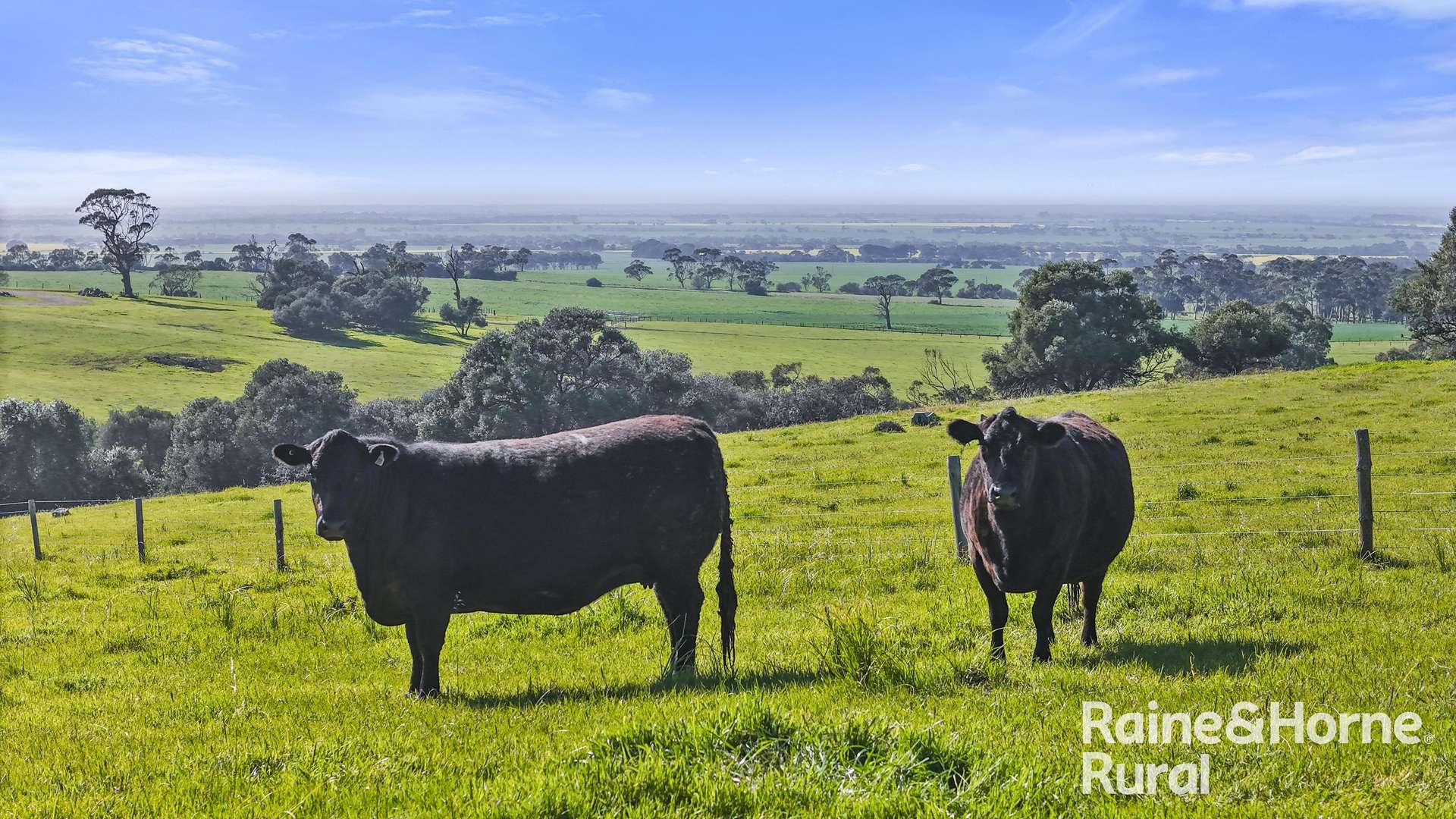 184 Wattle Flat Road, Strathalbyn For Sale by Farmbuy.com - image 21