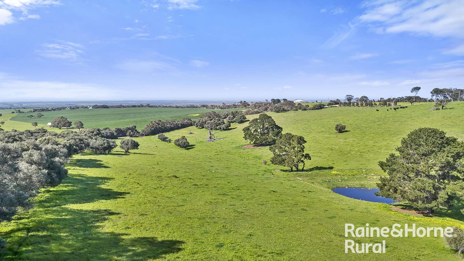 184 Wattle Flat Road, Strathalbyn For Sale by Farmbuy.com - image 30