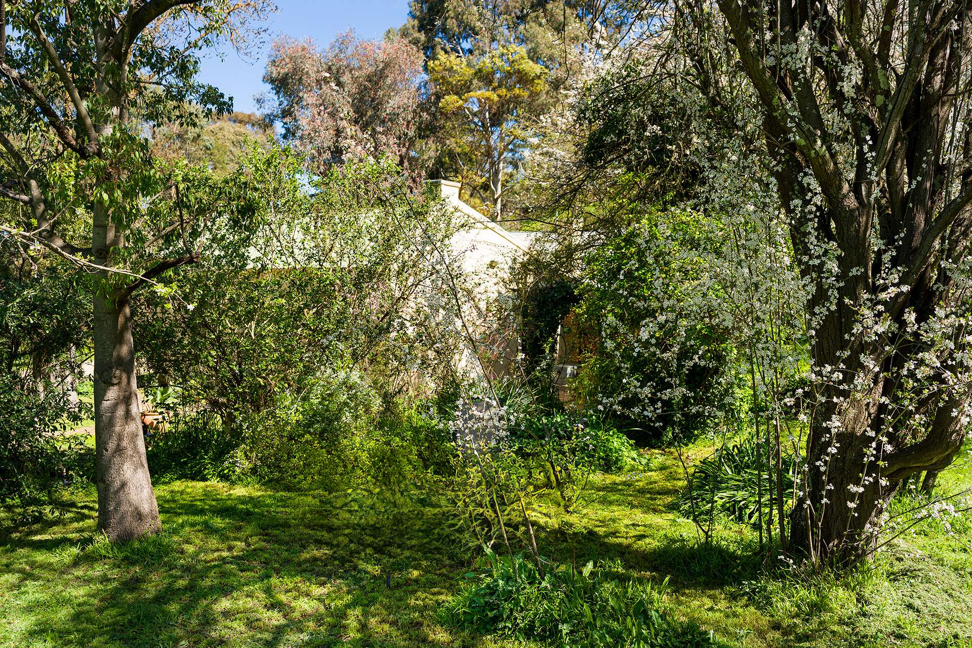 15 Verlin Street, Castlemaine For Sale by Farmbuy.com - image 21