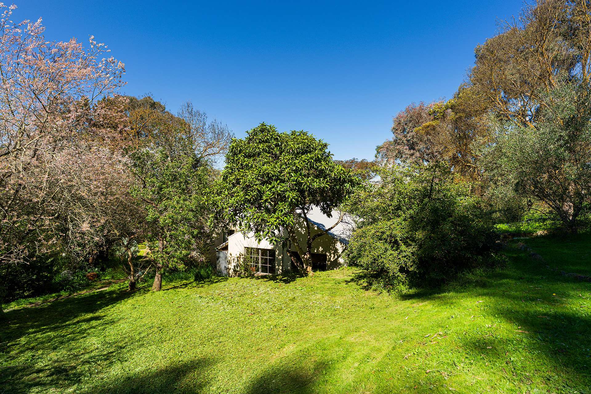 15 Verlin Street, Castlemaine For Sale by Farmbuy.com - image 19