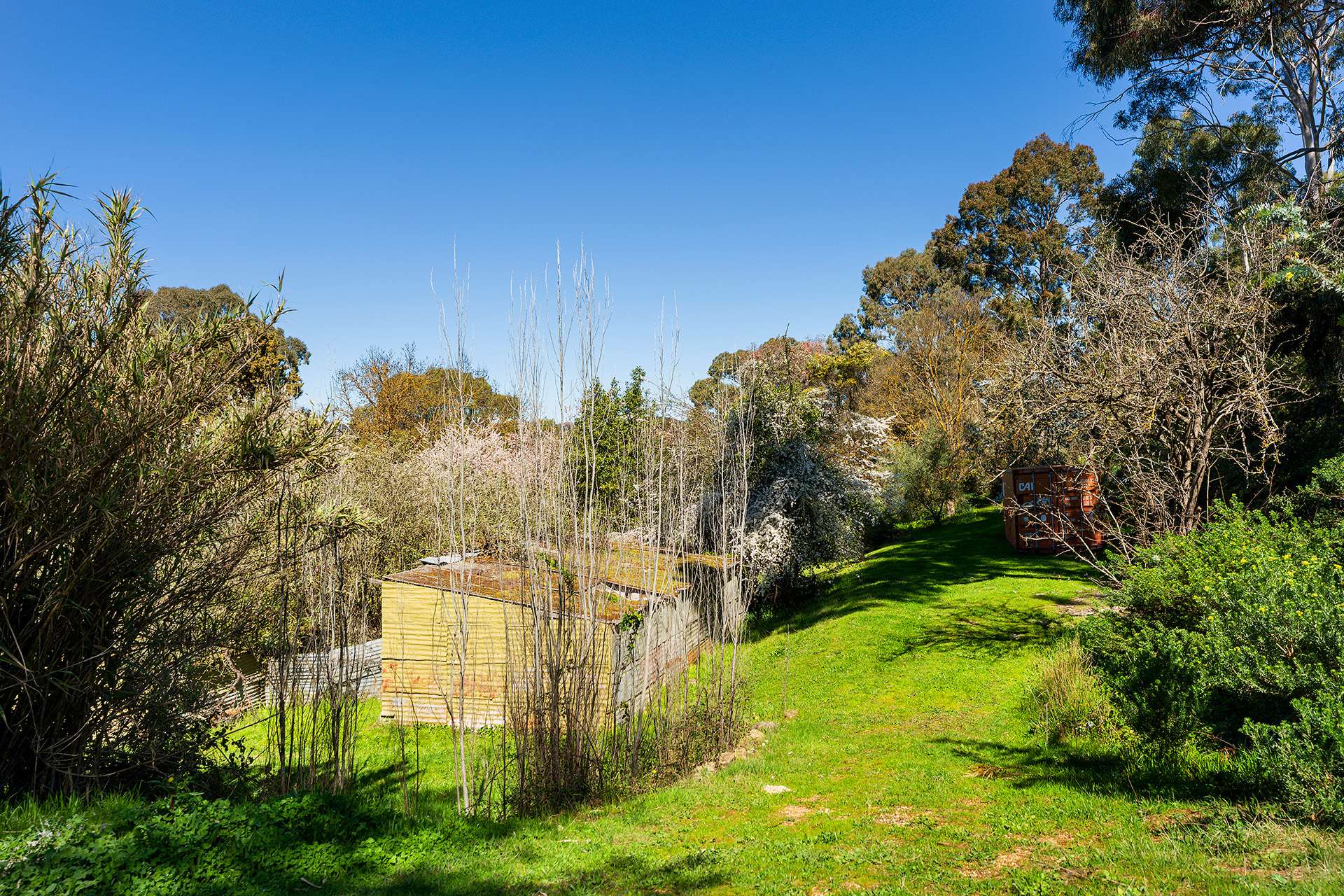 15 Verlin Street, Castlemaine For Sale by Farmbuy.com - image 20