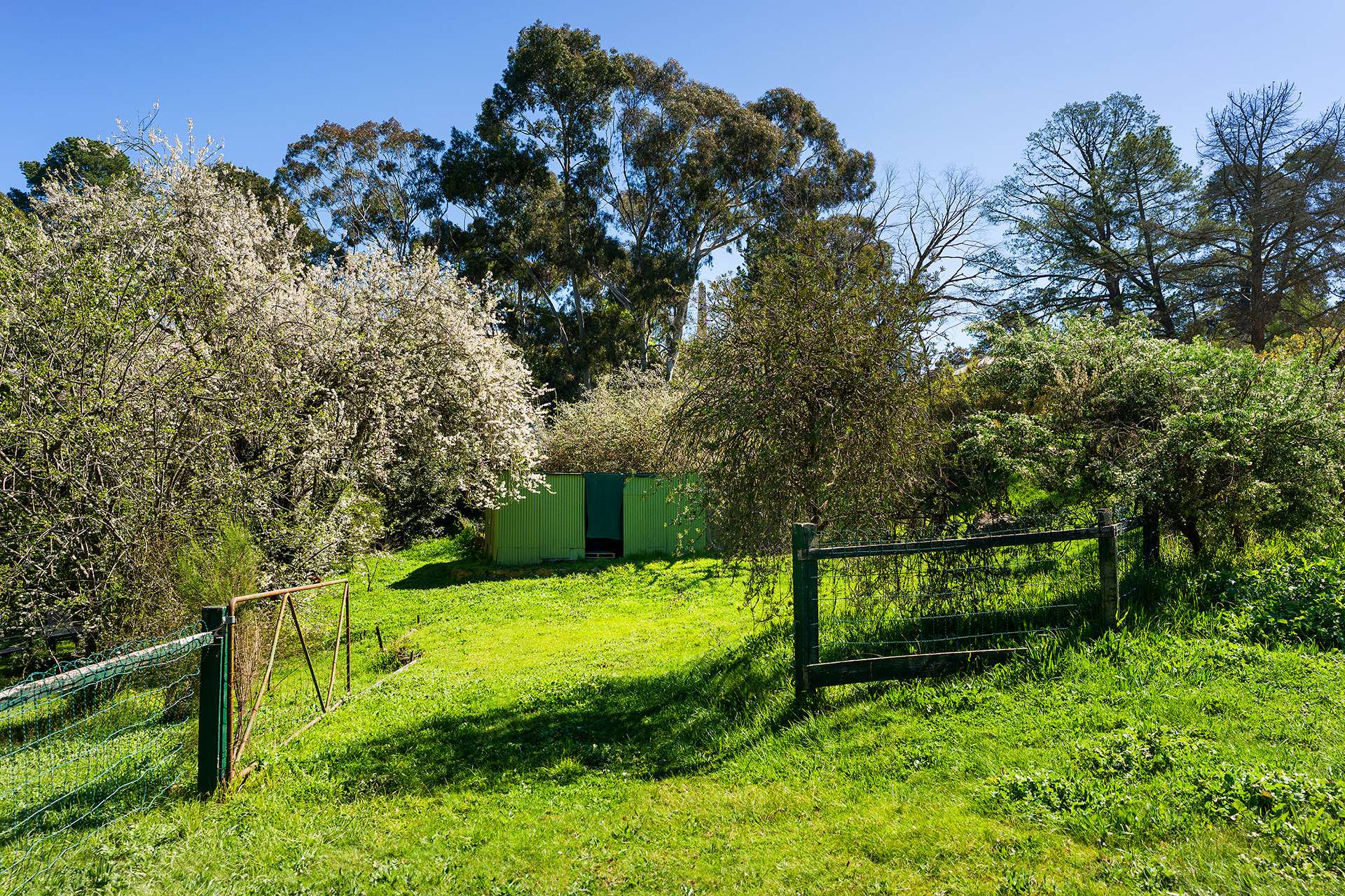 15 Verlin Street, Castlemaine For Sale by Farmbuy.com - image 22