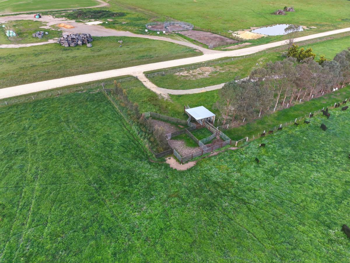 McLarens Road, Kilmany For Sale by Farmbuy.com - image 7
