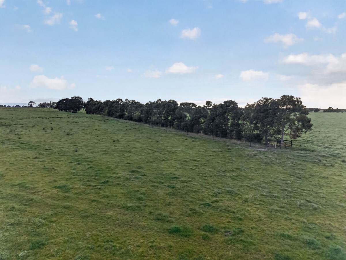 McLarens Road, Kilmany For Sale by Farmbuy.com - image 24