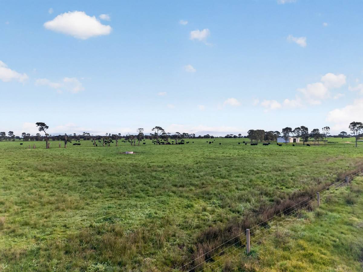 McLarens Road, Kilmany For Sale by Farmbuy.com - image 29