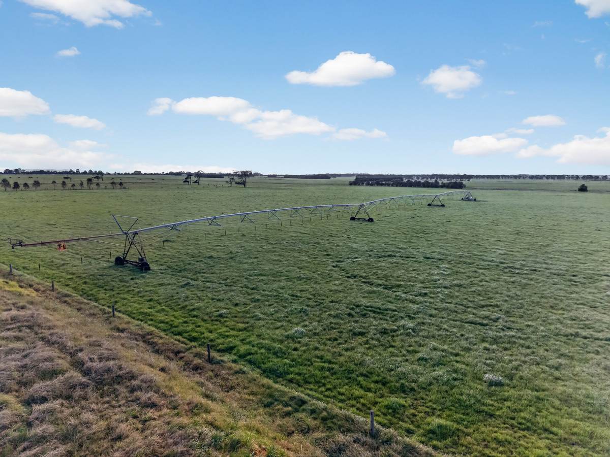 McLarens Road, Kilmany For Sale by Farmbuy.com - image 19