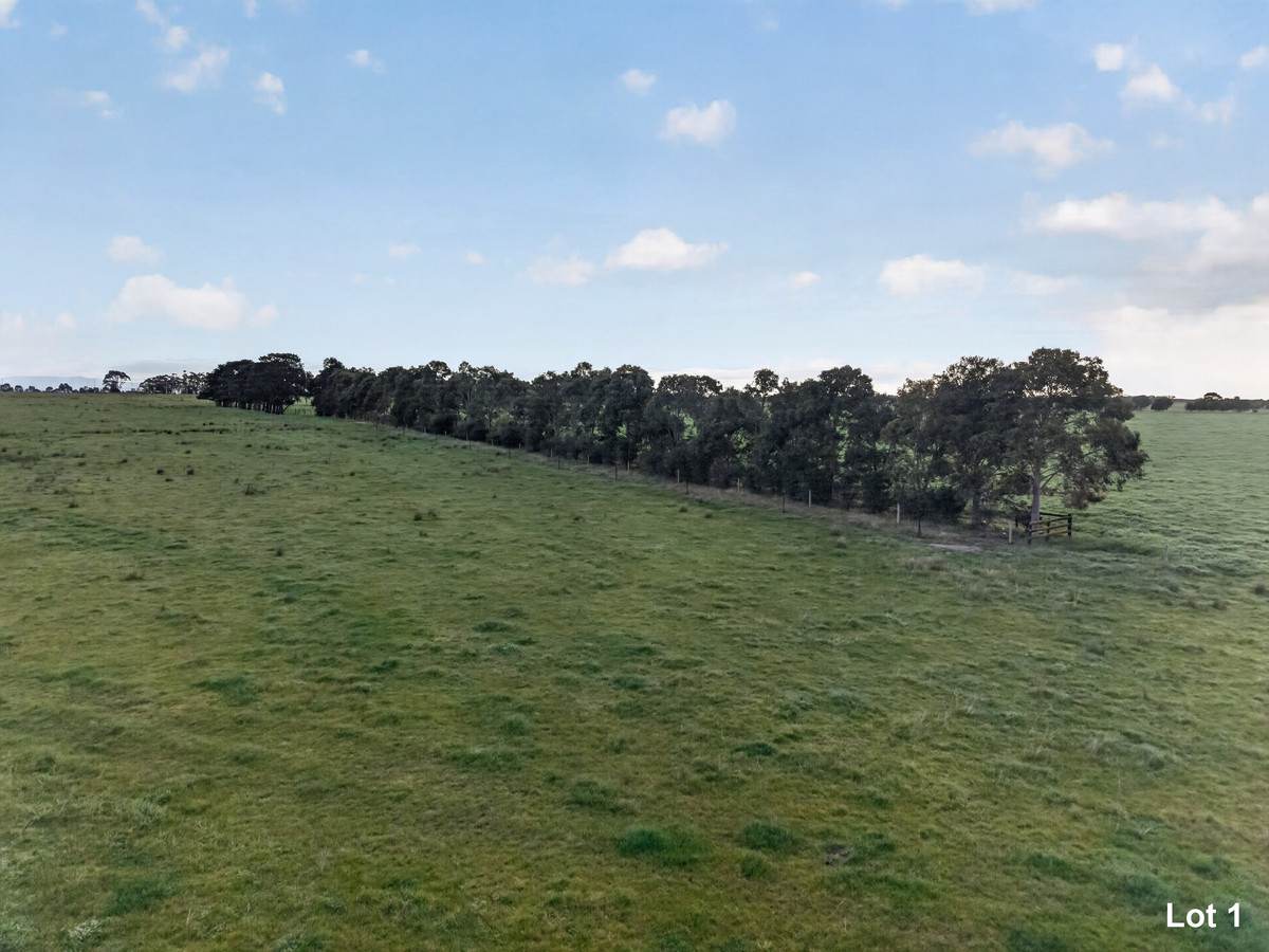 McLarens Road, Kilmany For Sale by Farmbuy.com - image 4