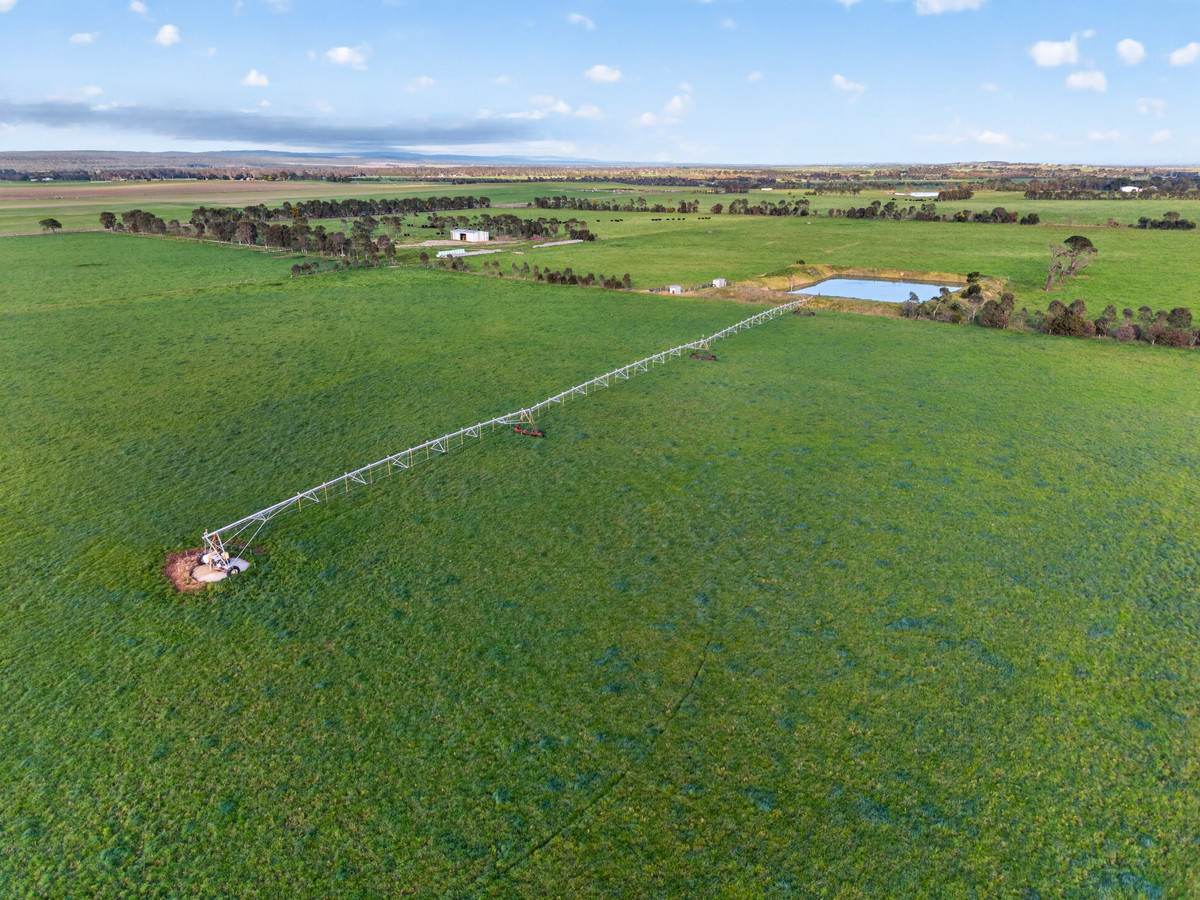 McLarens Road, Kilmany For Sale by Farmbuy.com - image 17