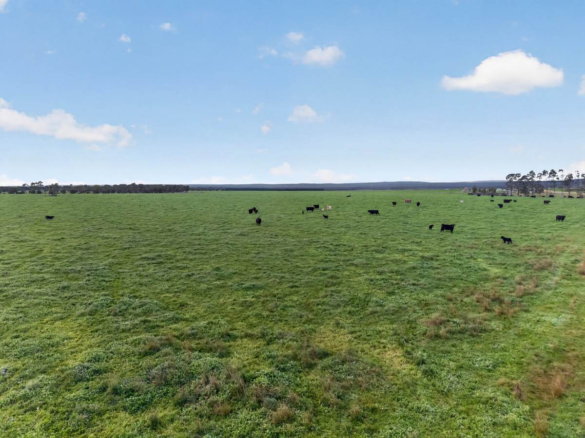 McLarens Road, Kilmany For Sale by Farmbuy.com - image 26