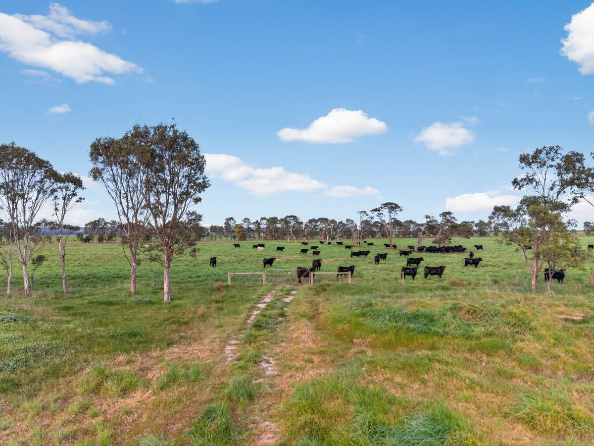 McLarens Road, Kilmany For Sale by Farmbuy.com - image 32