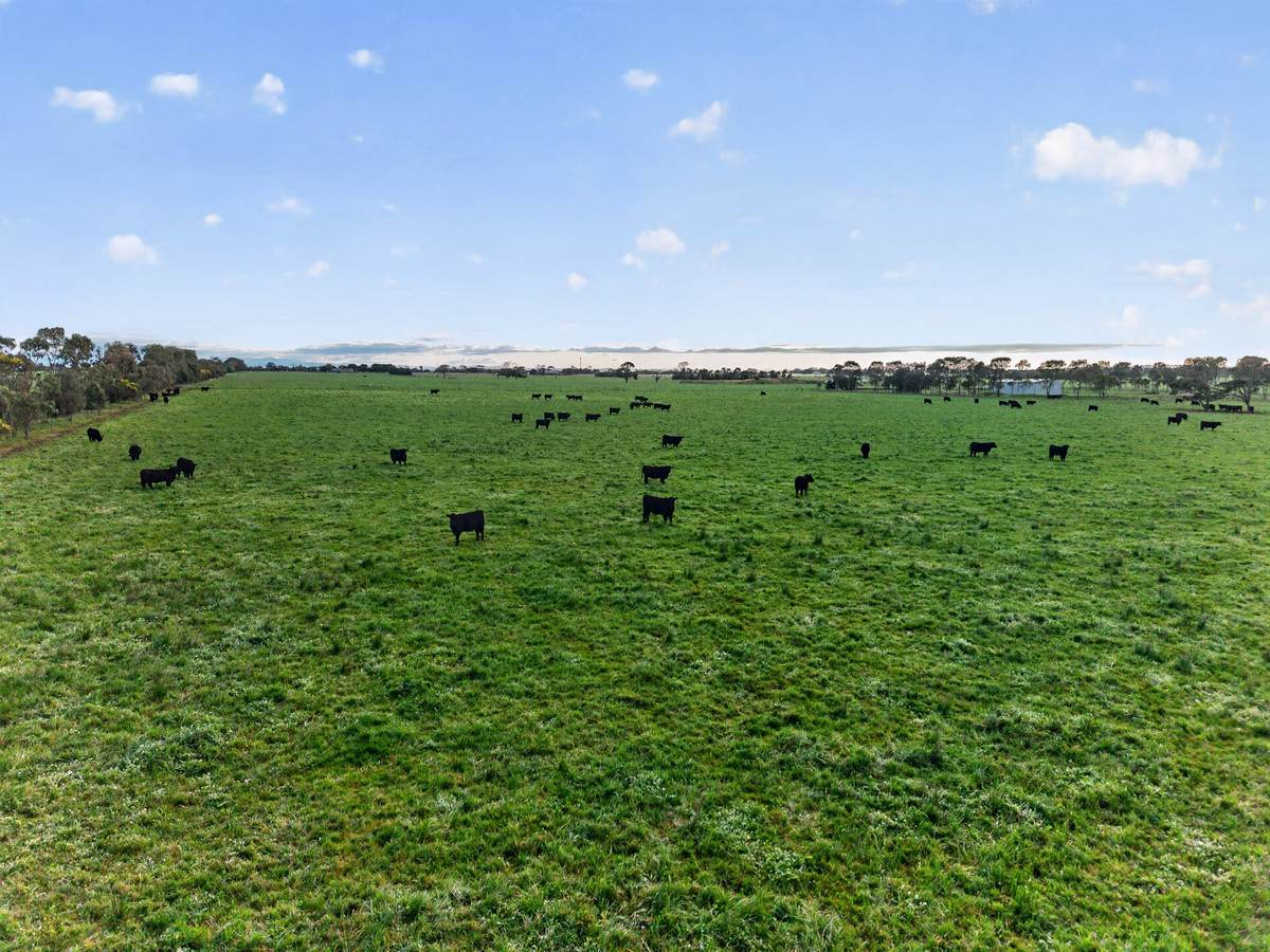 McLarens Road, Kilmany For Sale by Farmbuy.com - image 31