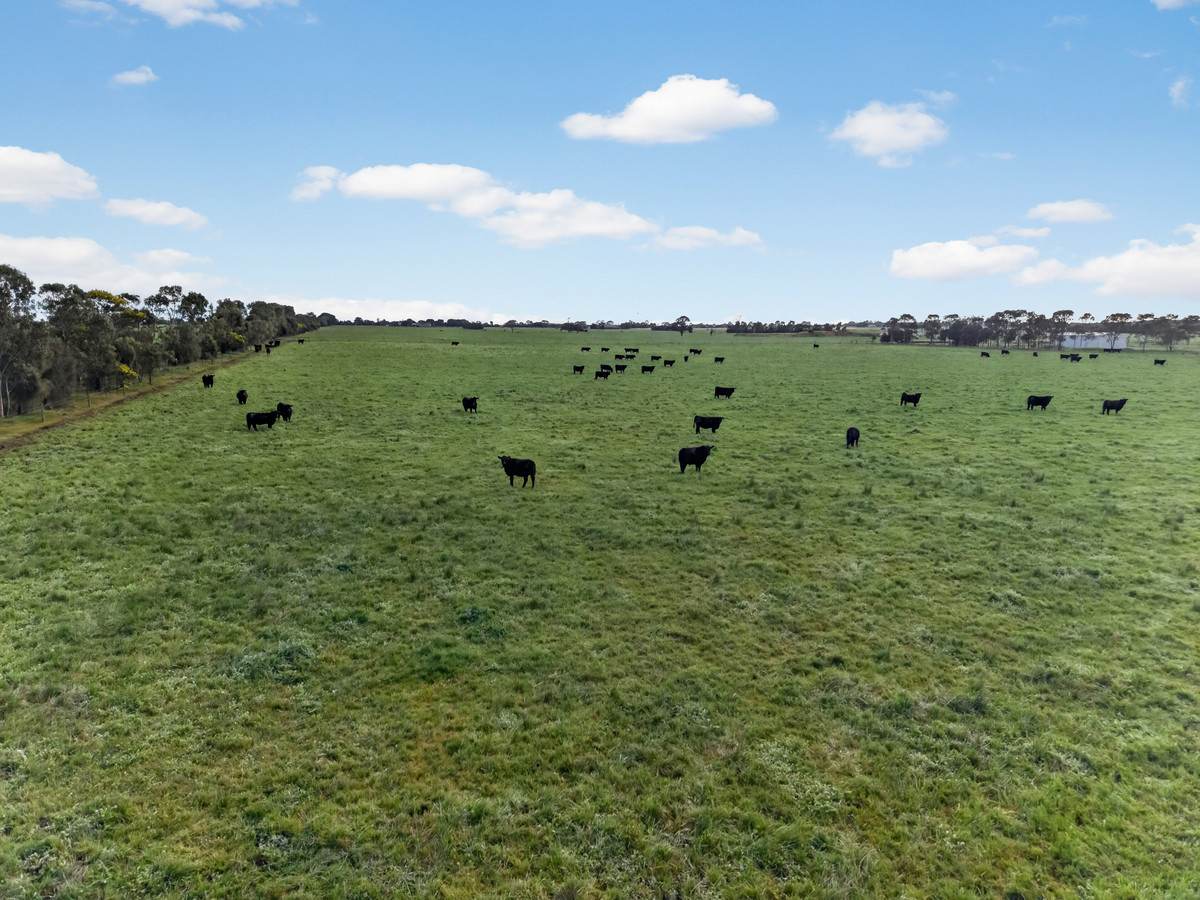 McLarens Road, Kilmany For Sale by Farmbuy.com - image 30