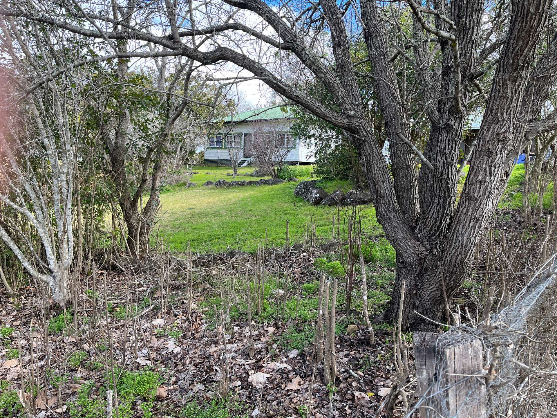 80A Tooloom Street, Legume For Sale by Farmbuy.com - image 2