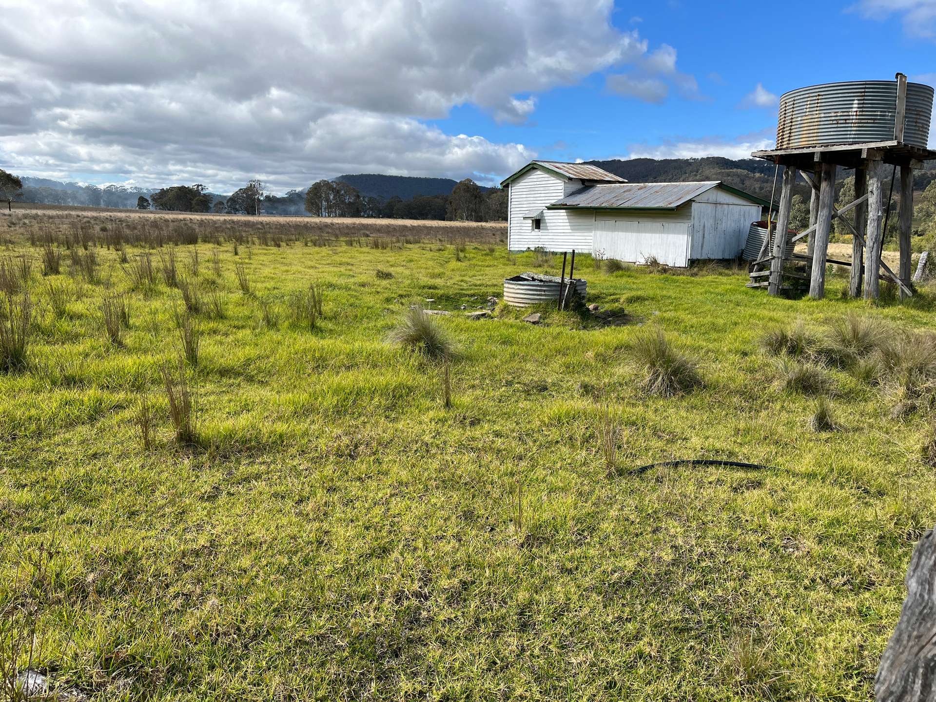 80A Tooloom Street, Legume For Sale by Farmbuy.com - image 6