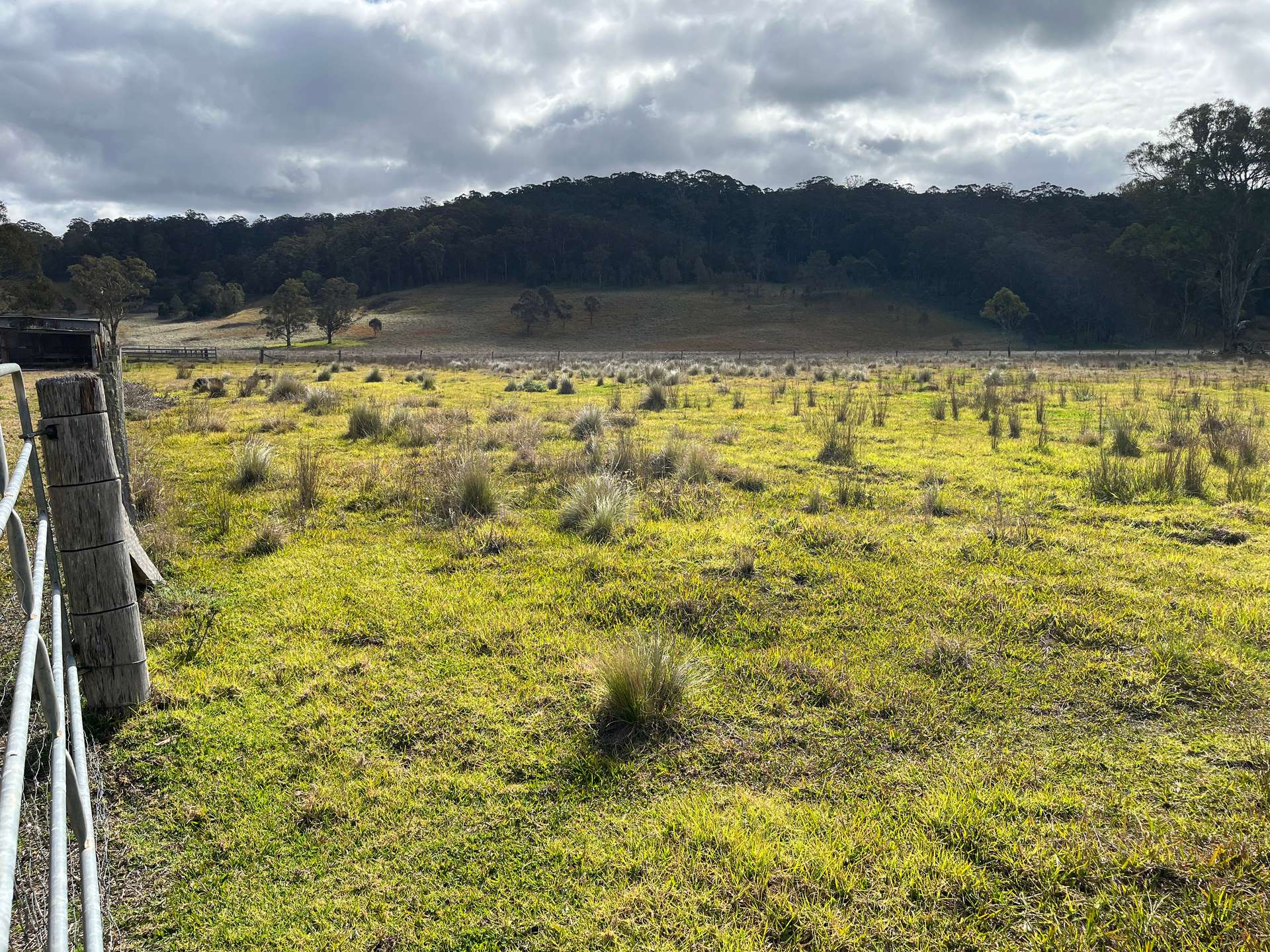 80A Tooloom Street, Legume For Sale by Farmbuy.com - image 9