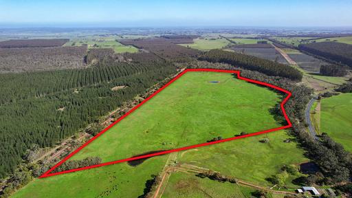 Farm For Sale - VIC - Heywood - 3304 - RARE SIZED RESPONSIVE OUTPADDOCK 
