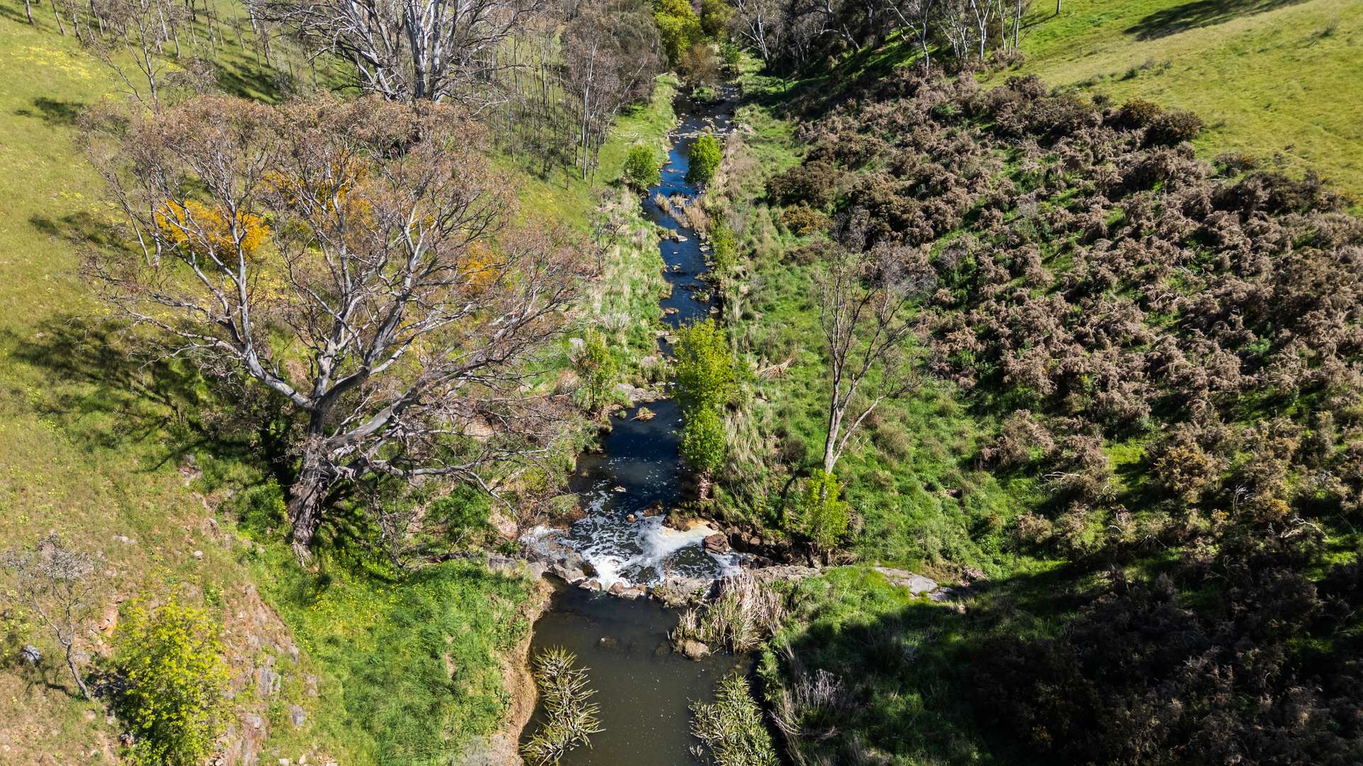 620B Springs Road, Mount Barker Springs Auction by Farmbuy.com - image 31