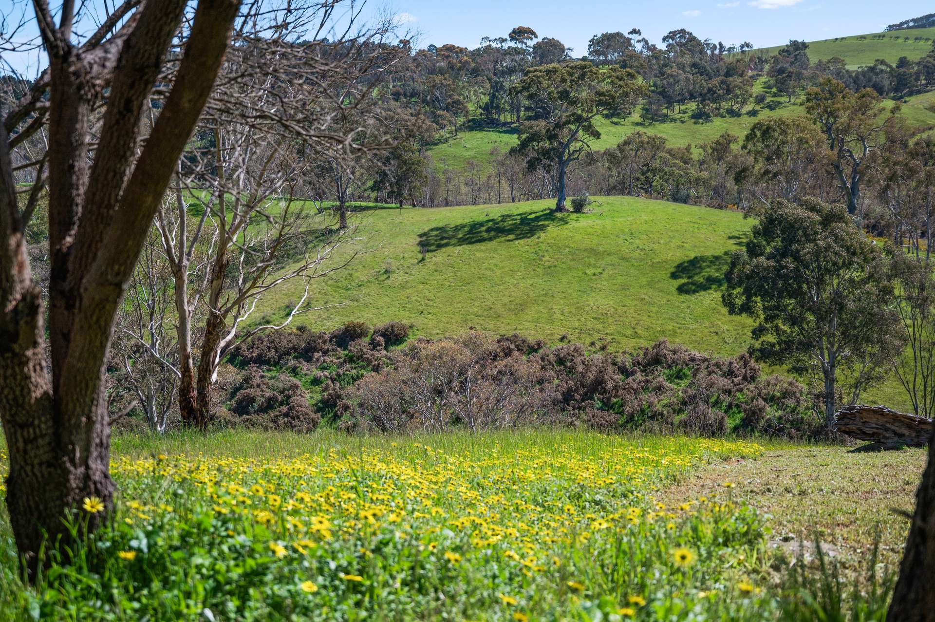 620B Springs Road, Mount Barker Springs Auction by Farmbuy.com - image 28